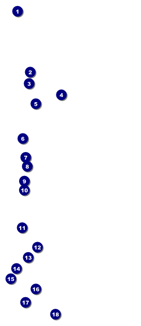 Leukemia VIP Pass Front Field Markers