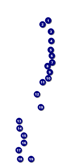 Retro Sunburst Raffle Ticket Front Field Markers