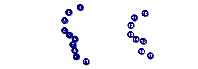 Triathlon Event Ticket Front Field Markers
