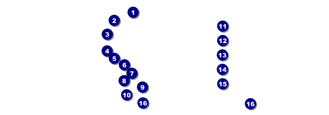 Triathlon Raffle Ticket Front Field Markers