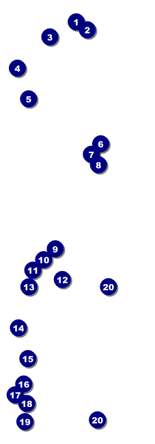 Snow White Event Ticket Front Field Markers