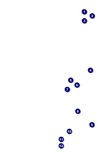 Chinese New Year Goat Drink Ticket Front Field Markers