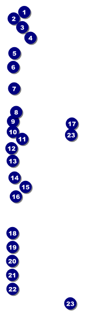 Rainbow Raffle Ticket Front Field Markers