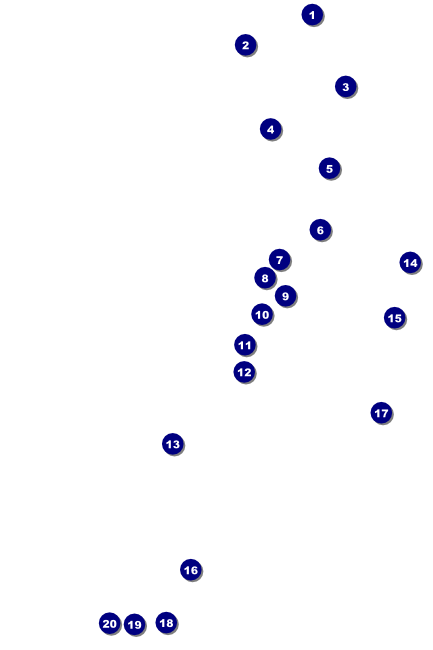 Red and Silver Poster Front Field Markers