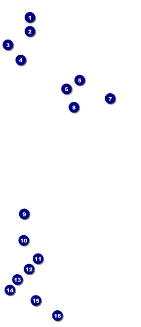 Diamond VIP Pass Front Field Markers