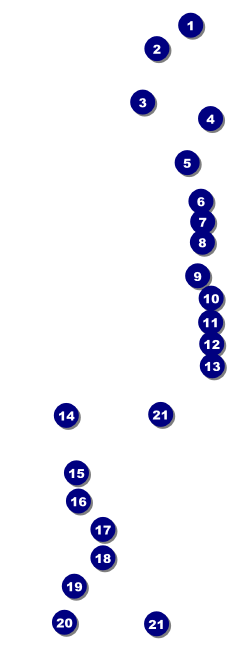 Soccer Ribbon Raffle Ticket Front Field Markers