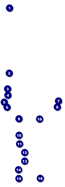 Sixties Raffle Ticket Front Field Markers