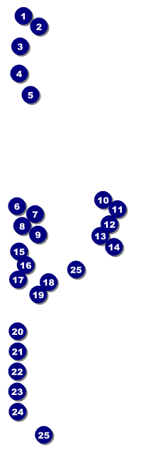 Spaceship Raffle Ticket Front Field Markers