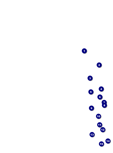Spanish Festival Flyer Front Field Markers