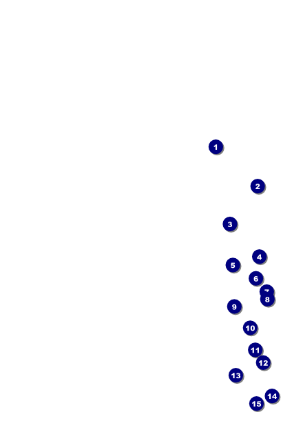 Spanish Festival Poster Front Field Markers