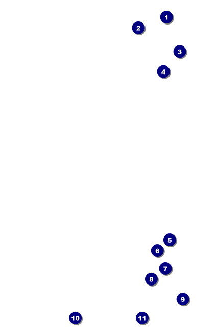 Spanish Flag Drink Ticket Front Field Markers
