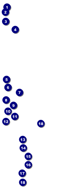 Speed Dating Raffle Ticket Front Field Markers