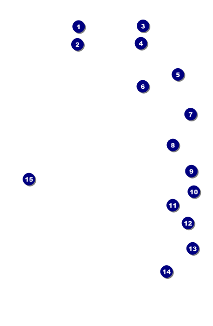 Car Racing VIP Event Badge Small Front Field Markers