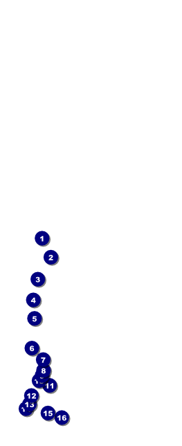 Acoustic Strings Table Tent Front Field Markers
