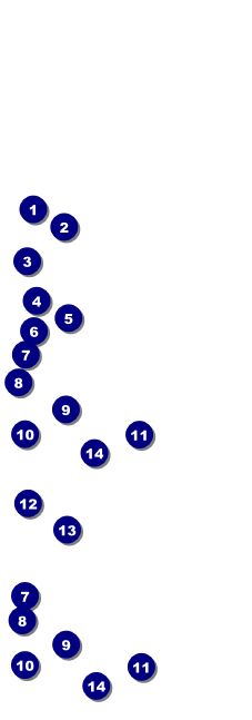 Fire and Ice Reserved Event Ticket Front Field Markers