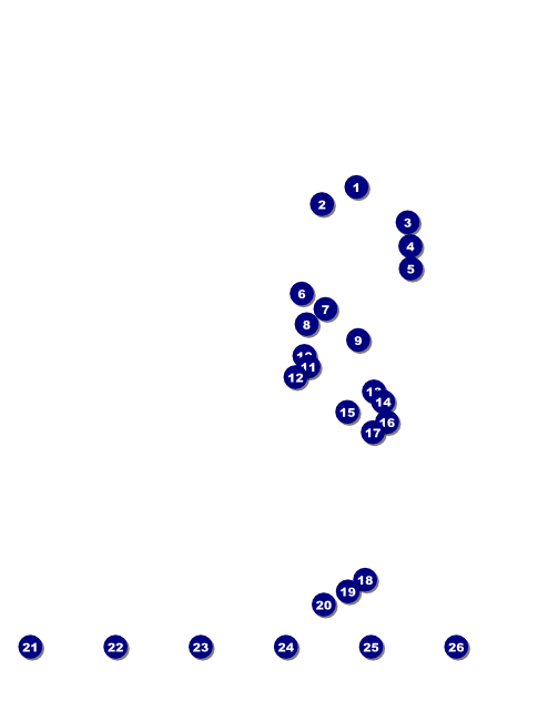 Texas Flyer 002 Front Field Markers