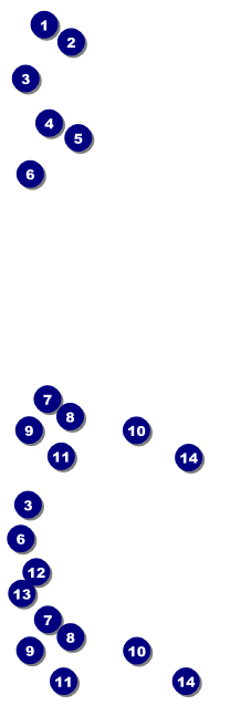 Blues Cruise Reserved Event Ticket Front Field Markers