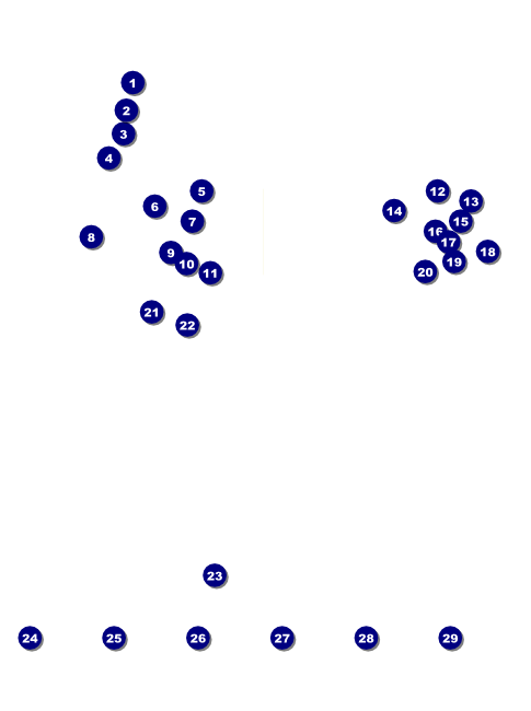 Arizona Flyer Front Field Markers