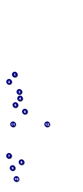 Gospel Praying Hands VIP Event Badge Large Front Field Markers