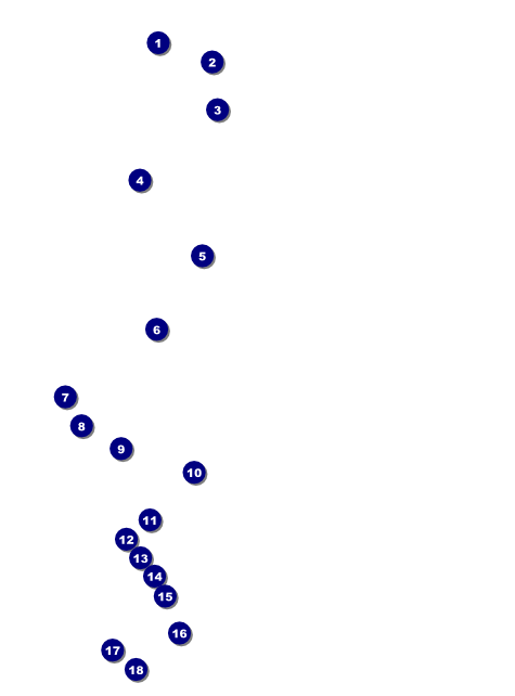 All Purpose Building and Streetlights Black and White Flyer Front Field Markers