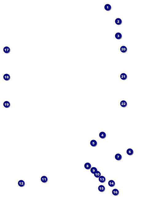 Curling Tournament Image Flyer Front Field Markers