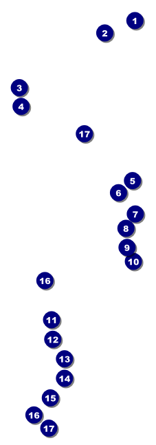 Billiard Tournament Raffle Ticket Front Field Markers