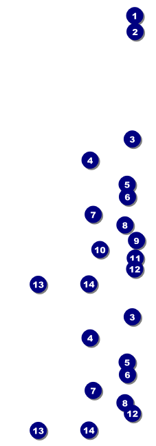 Chinese New Year Rooster Event Ticket Front Field Markers