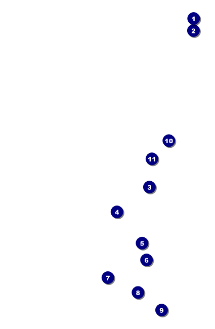 Chinese New Year Dog Drink Ticket Front Field Markers