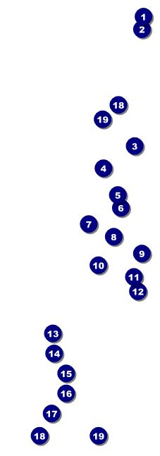 Chinese New Year Dog Raffle Ticket Front Field Markers