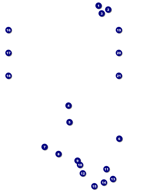 Chinese New Year Ox Image Flyer Front Field Markers