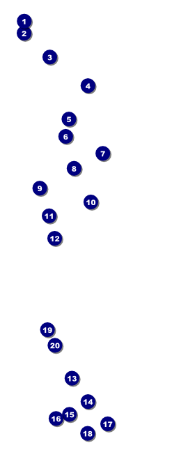 Chinese New Year Ox VIP Pass Front Field Markers