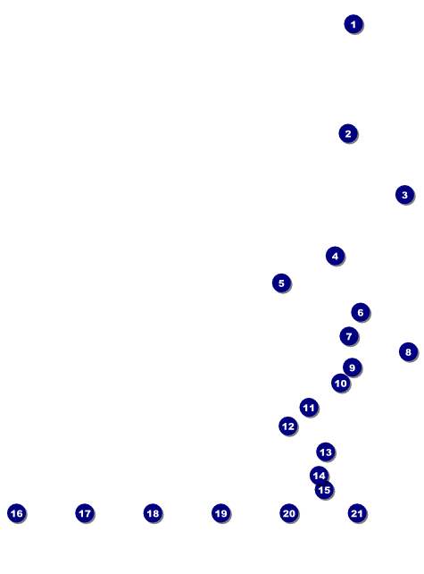 Swim Meet Image Flyer Front Field Markers