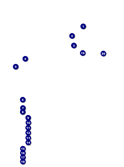 Golf Water Hazard Flyer Front Field Markers