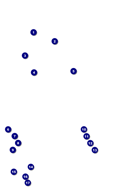 Paris Pink and Black Flyer Front Field Markers