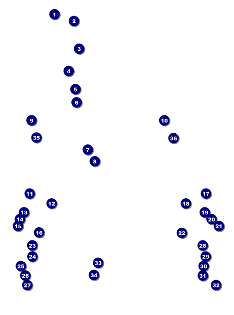 Guitar and Banjo Flyer Front Field Markers