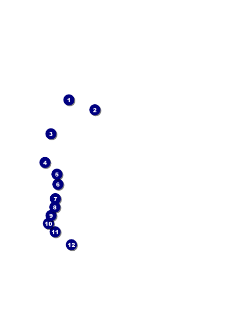 Fire and Ice Flyer Front Field Markers