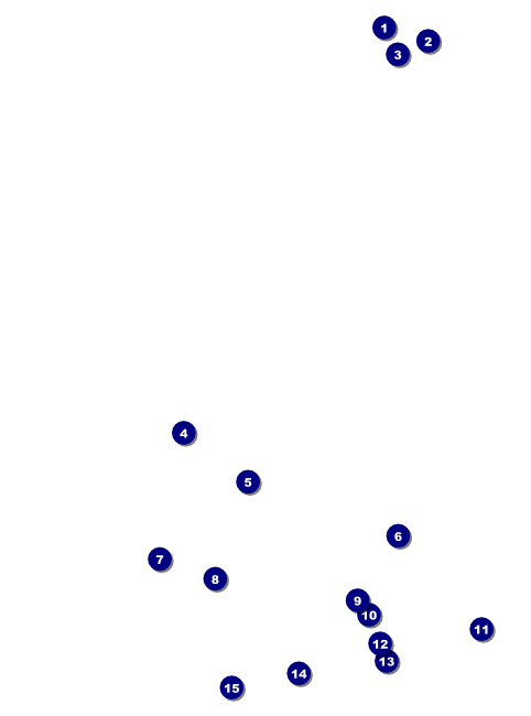 Chinese New Year Horse Flyer Front Field Markers