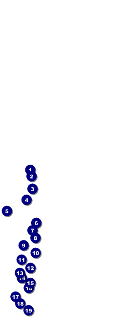 Nature Series - Blue Ocean Table Tent Front Field Markers