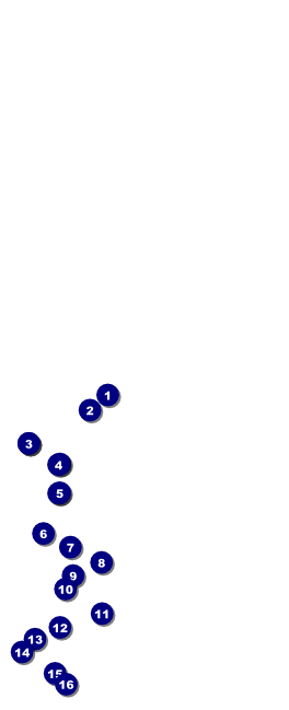 Mixed Martial Arts (Green) Table Tent Front Field Markers