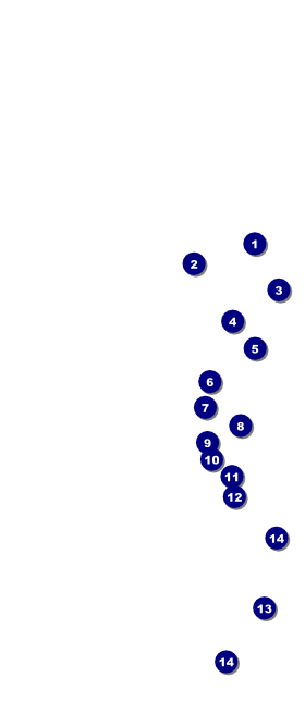 Natural Riffs Hang Tag Front Field Markers