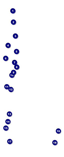 Youth Softball VIP Pass Front Field Markers