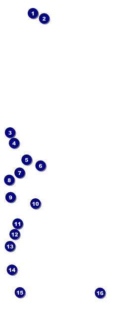 Military Ball - The Salute VIP Pass Front Field Markers