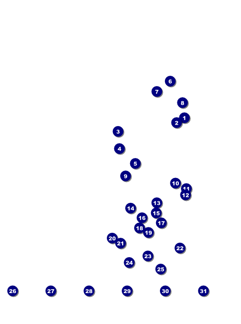 Twin Cities Flyer with Image Upload (black and white) Front Field Markers