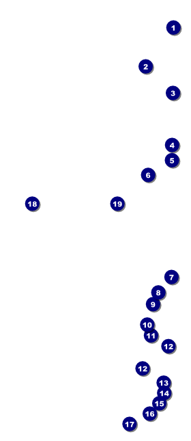 Abstract VIP Event Badge Large Front Field Markers