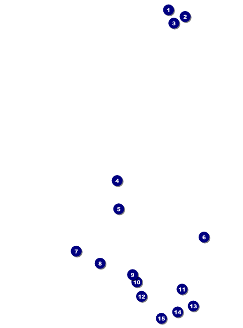 Chinese New Year Rat Flyer Front Field Markers