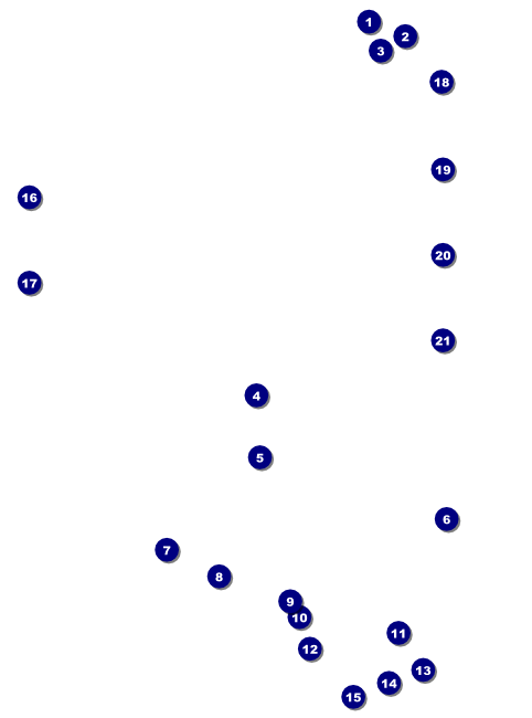 Chinese New Year Rat Flyer Front Field Markers