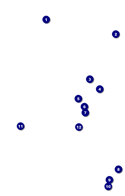 Masquerade VIP Event Badge Medium VIP Event Badge Medium Front Field Markers