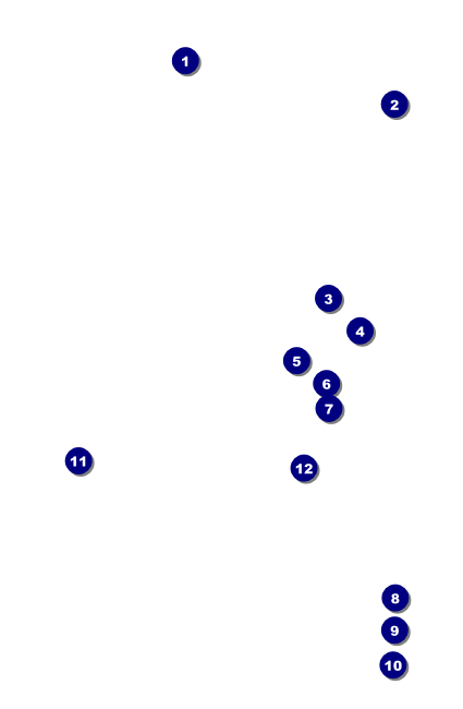 Masquerade VIP Event Badge Small VIP Event Badge Small Front Field Markers