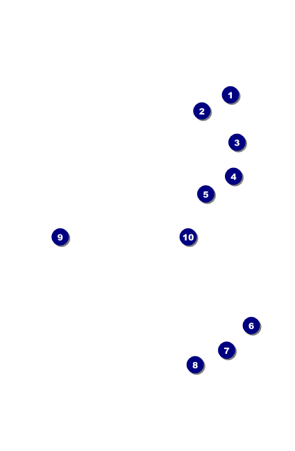 Fire and Ice VIP Event Badge Small Front Field Markers