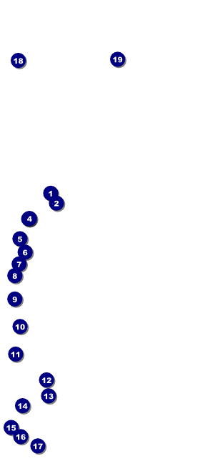 Your Photo Concert VIP Event Badge Large VIP Event Badge Large Front Field Markers